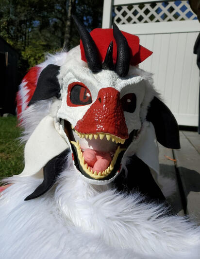 Raptor mask