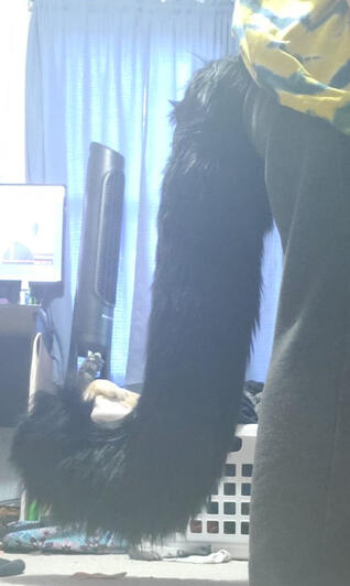 Cat tail