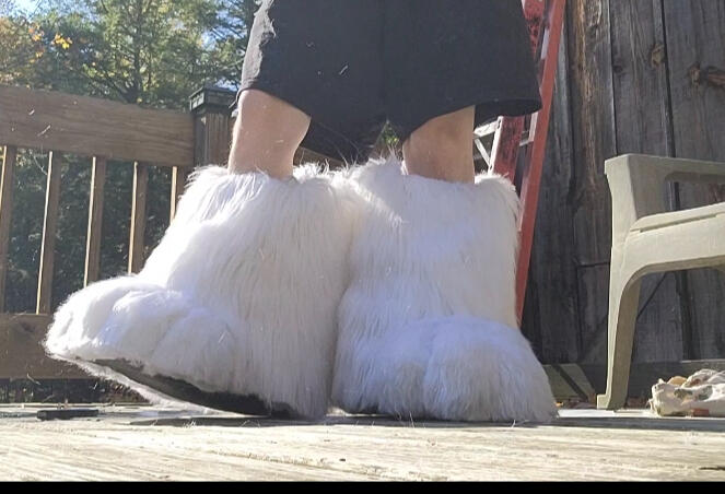 Feet Paws start at $300+